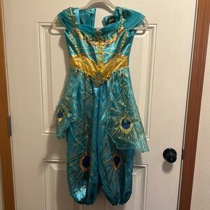 Disney Princess Jasmine Costume - Teal and Gold